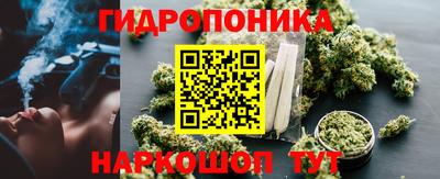 шишки Нягань