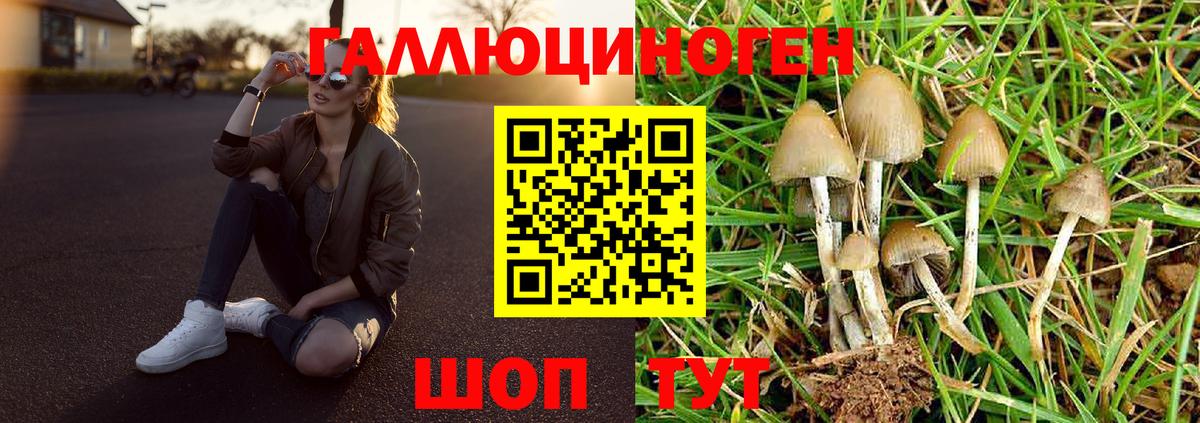Благовещенск  Галлюциногенные грибы ЛСД  дарнет шоп  Вход с VPN 