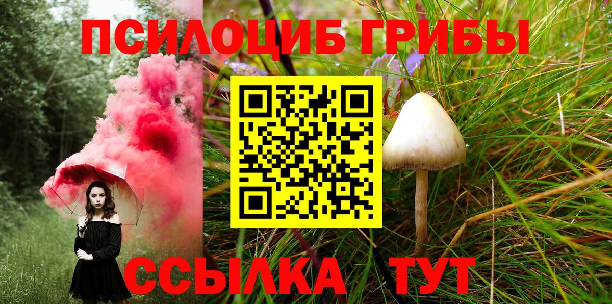 Псилоцибиновые грибы GOLDEN TEACHER Благовещенск